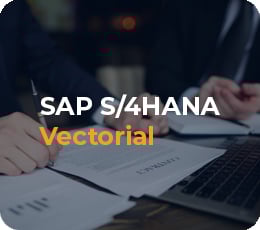 Sap-Vectorial-newsletter