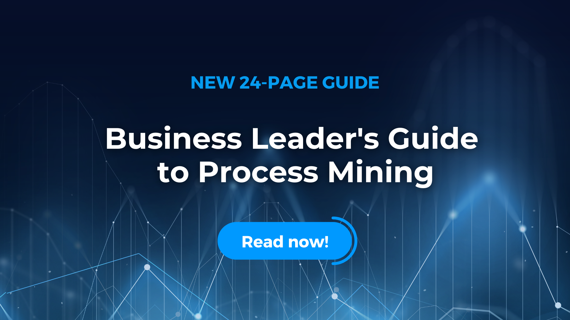 business leaders guide (1)