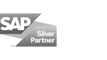 sap silver partner icon