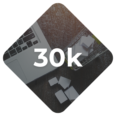 30k icon