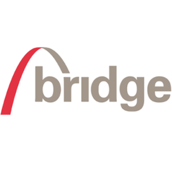 Bridge logo