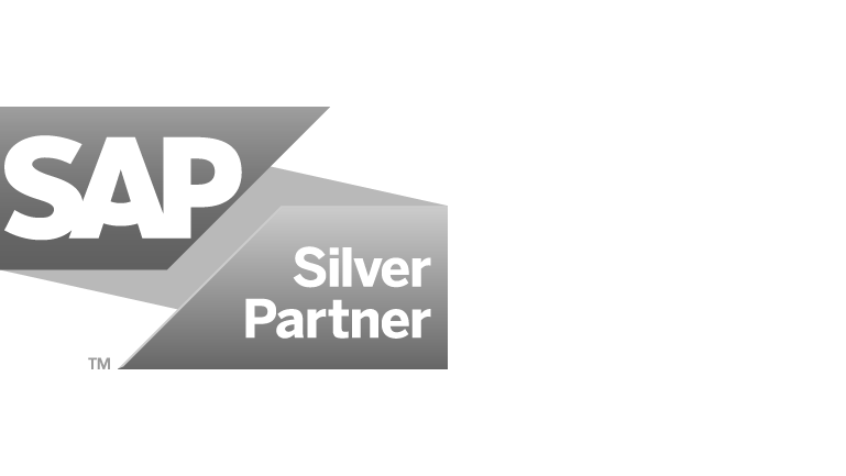 sap silver partner icon